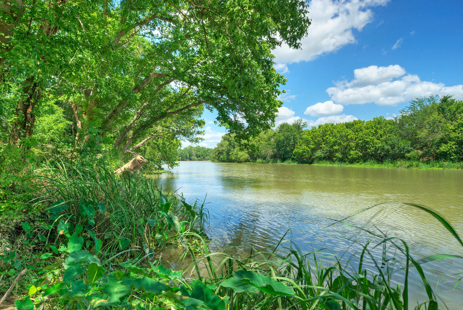 a view of a lake from a yard