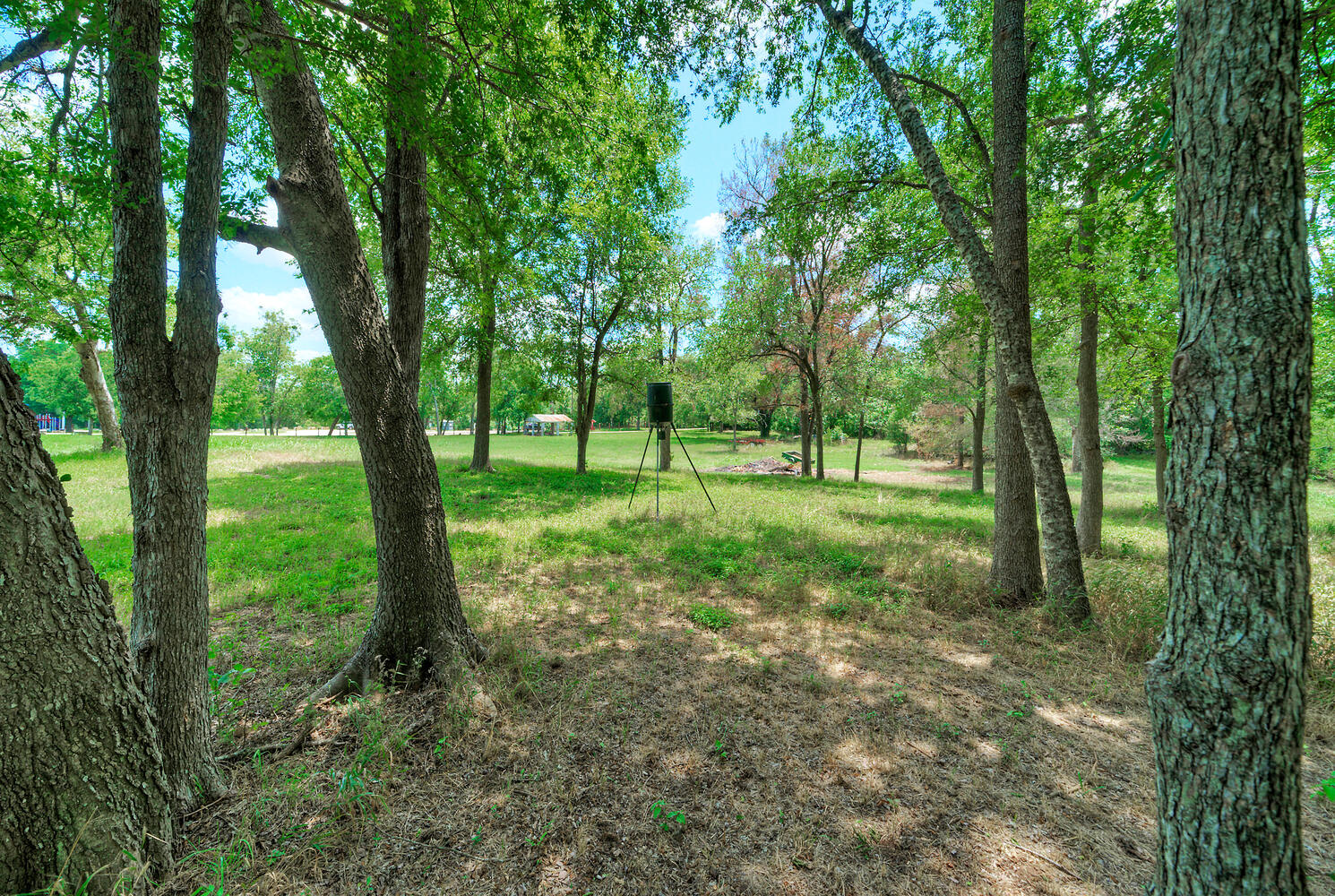 906 Water Street Manor, TX 78653 - Photo 21 of 22