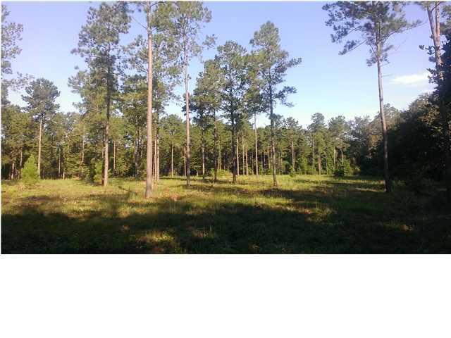 1526 Zion Road Dorchester, SC 29437 - Photo 9 of 9 Additional Photo
