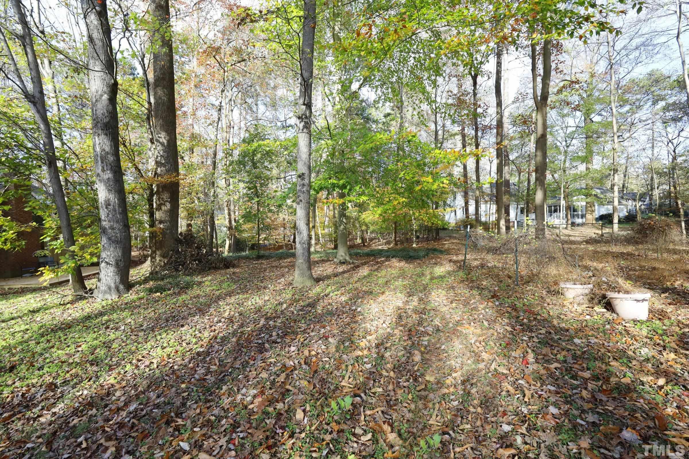 10904 Brass Kettle Road Raleigh, NC 27614 - Photo 38 of 41 a view of outdoor space with trees