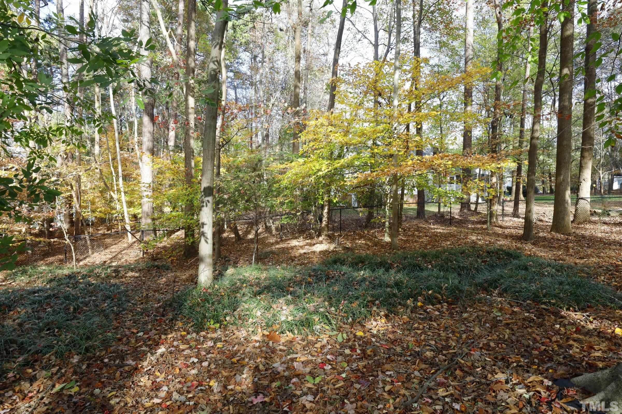 10904 Brass Kettle Road Raleigh, NC 27614 - Photo 39 of 41 a view of outdoor space and trees