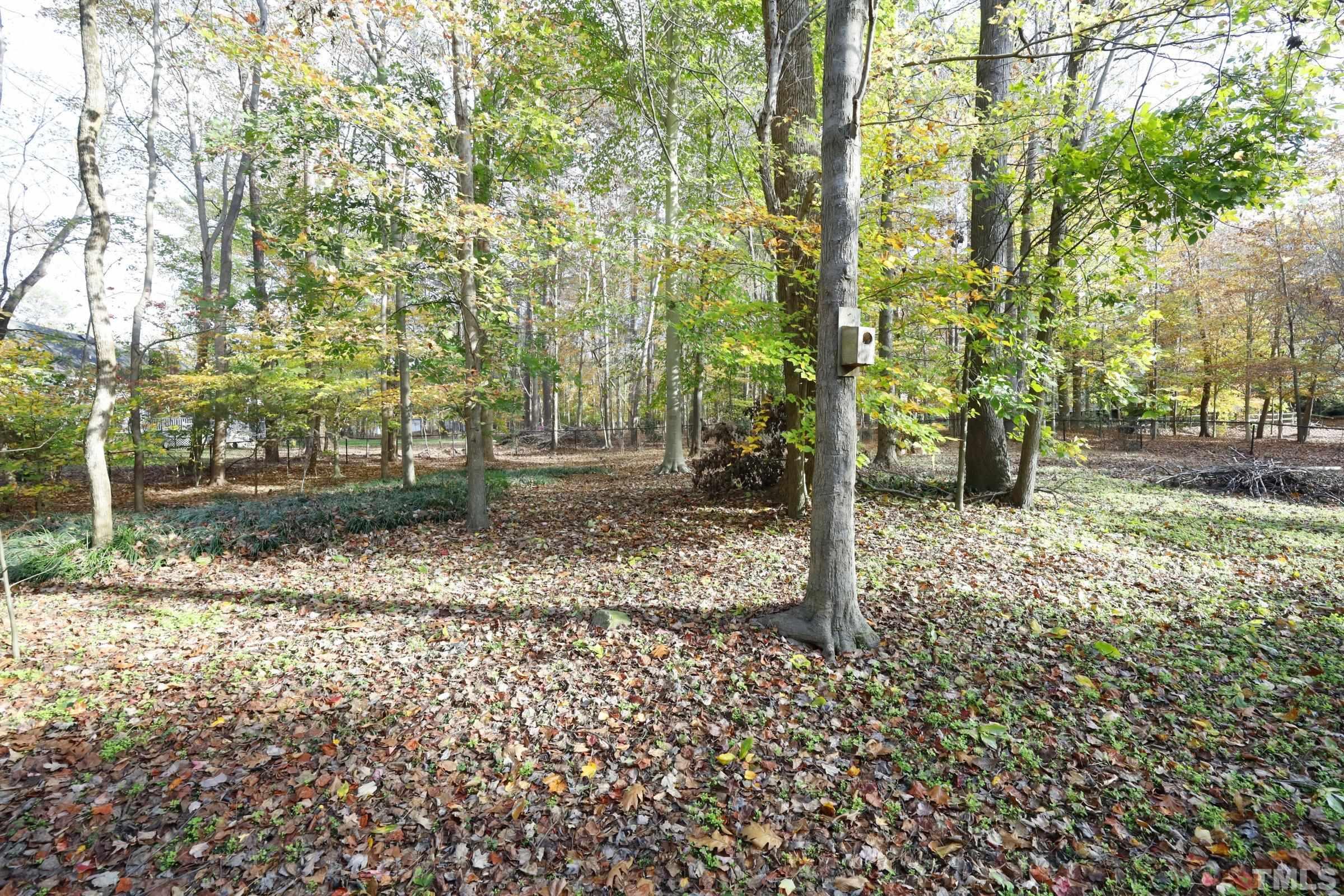 10904 Brass Kettle Road Raleigh, NC 27614 - Photo 40 of 41 a backyard of a house with lots of green space