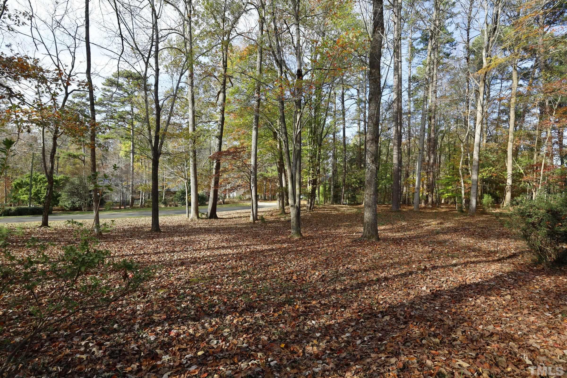 10904 Brass Kettle Road Raleigh, NC 27614 - Photo 4 of 41 a view of a forest with trees
