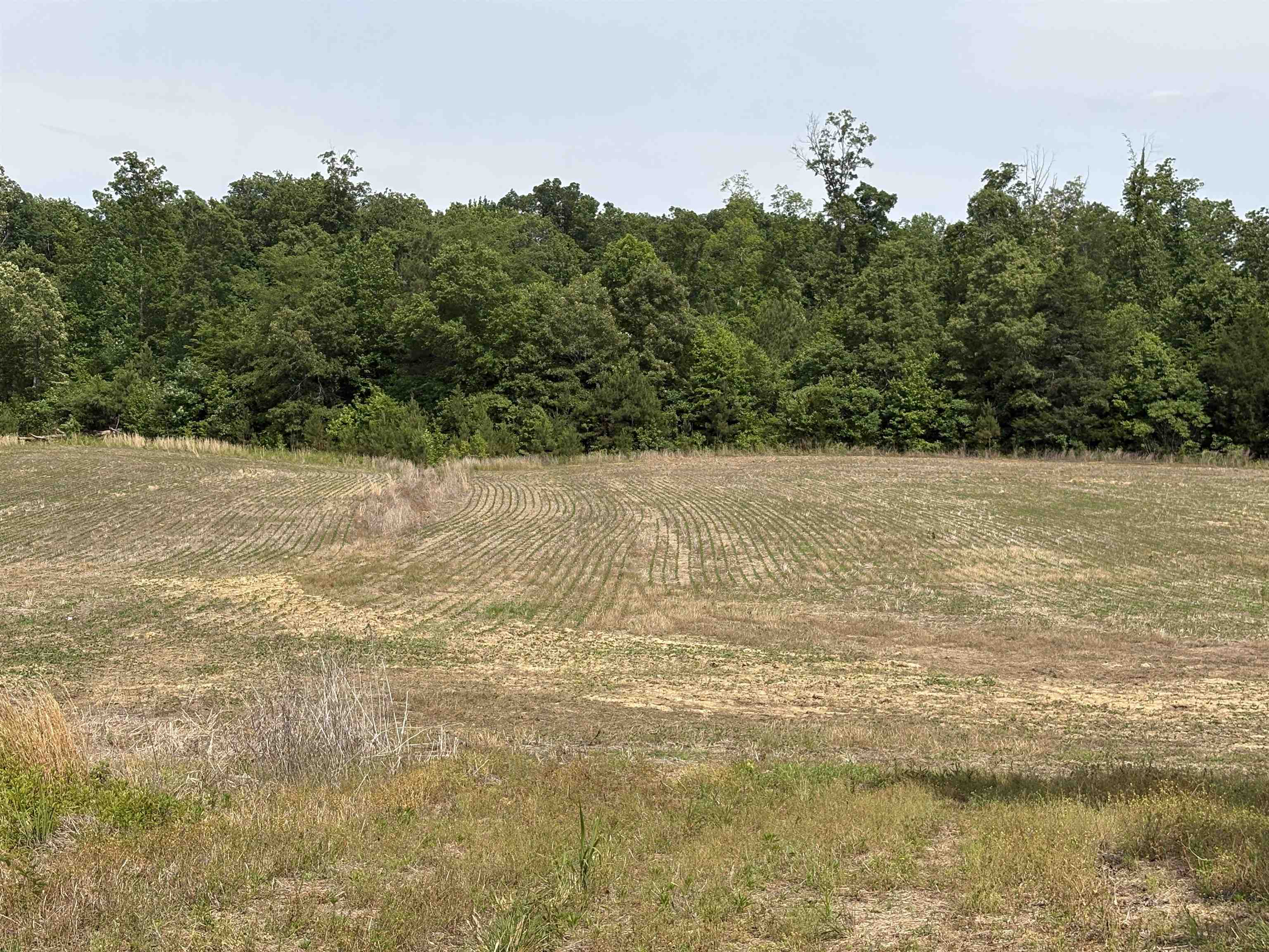 1200 Sand Ridge Bargerton Road Lexington, TN 38351 - Photo 18 of 24 a view of a lake view