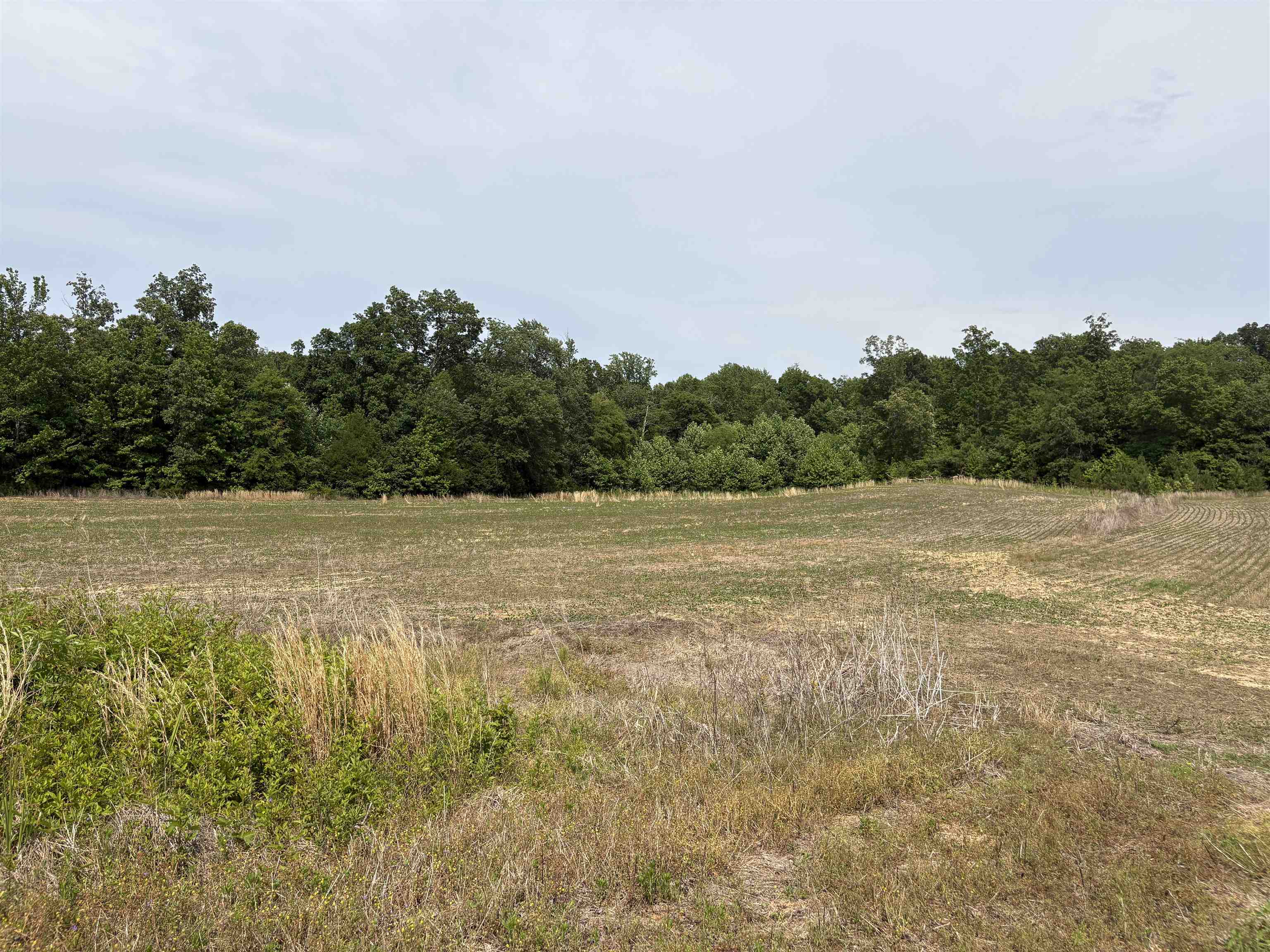 1200 Sand Ridge Bargerton Road Lexington, TN 38351 - Photo 19 of 24 a view of a lake view