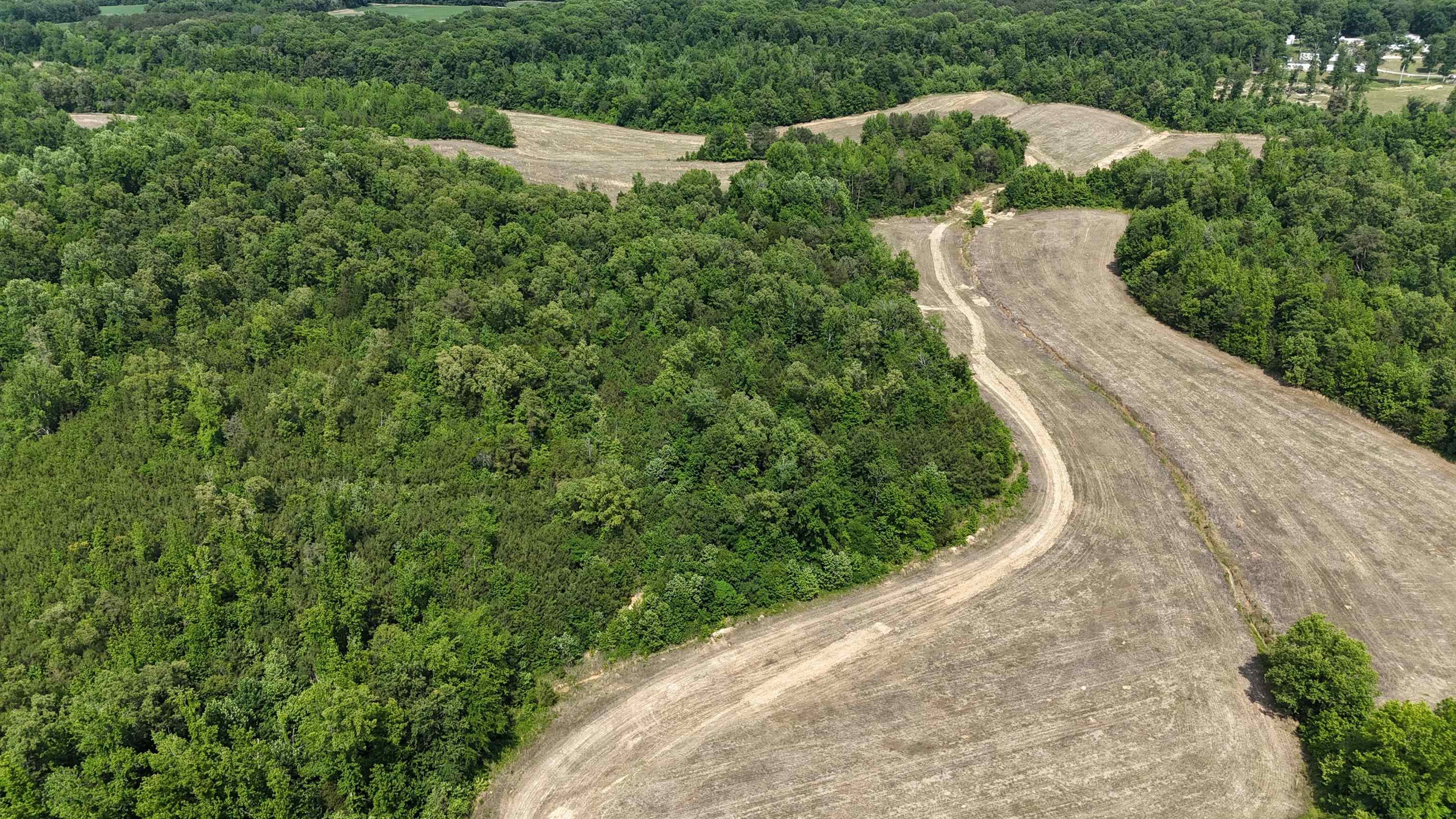 1200 Sand Ridge Bargerton Road Lexington, TN 38351 - Photo 22 of 24 a view of a yard with plants