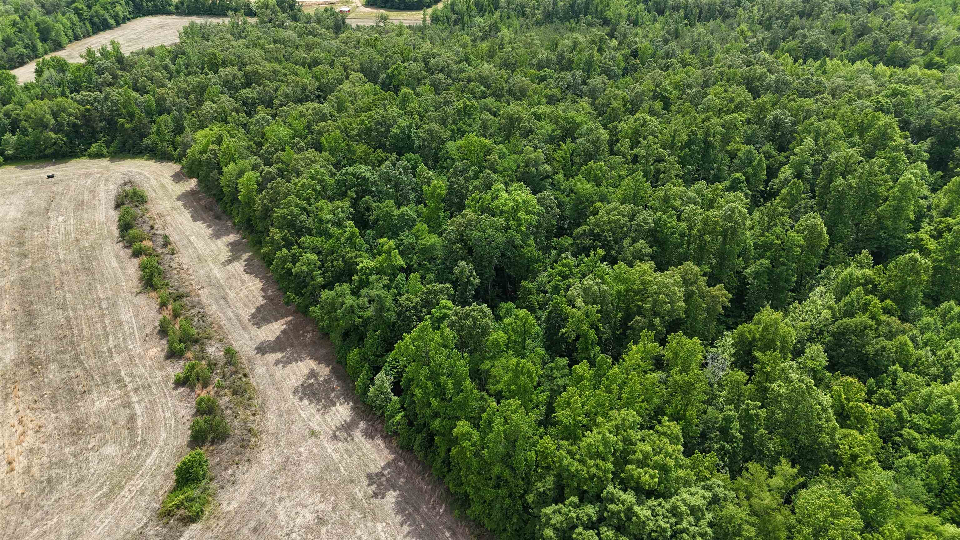 1200 Sand Ridge Bargerton Road Lexington, TN 38351 - Photo 6 of 24 an aerial view of a house with a yard
