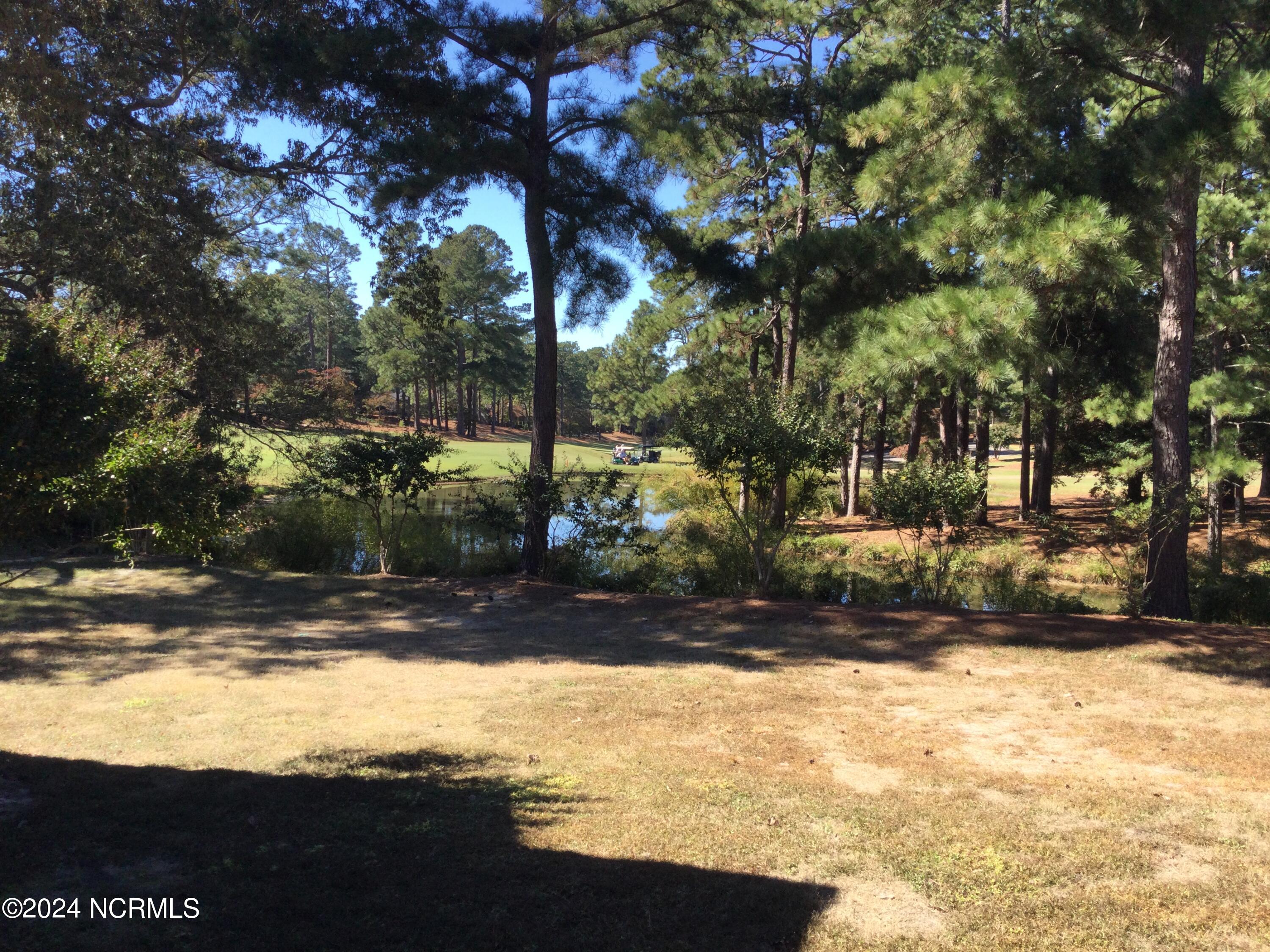 10 Pine Tree Road, Unit 131 Pinehurst, NC 28374 - Photo 4 of 45 Golf Course View