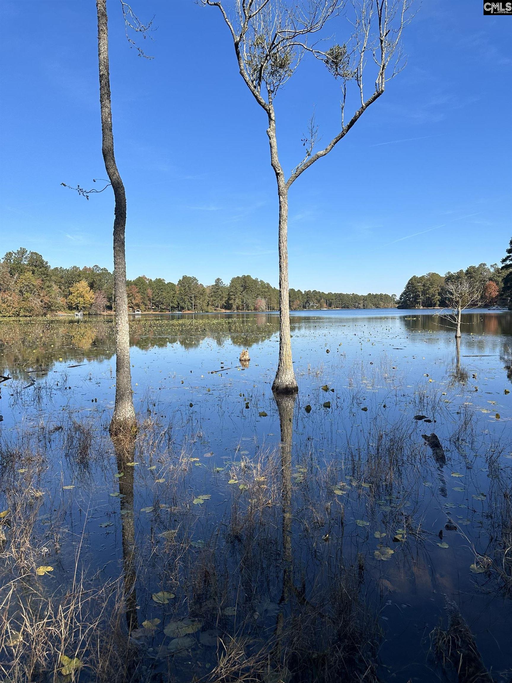 Lot 39 Edisto Lake Road Wagener, SC 29164 - Photo 4 of 9
