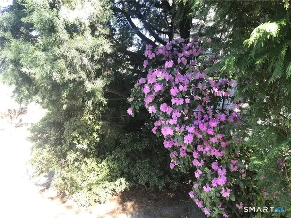 $1,550 | 25 Saugatuck Avenue, Unit 9, Westport, CT 06880