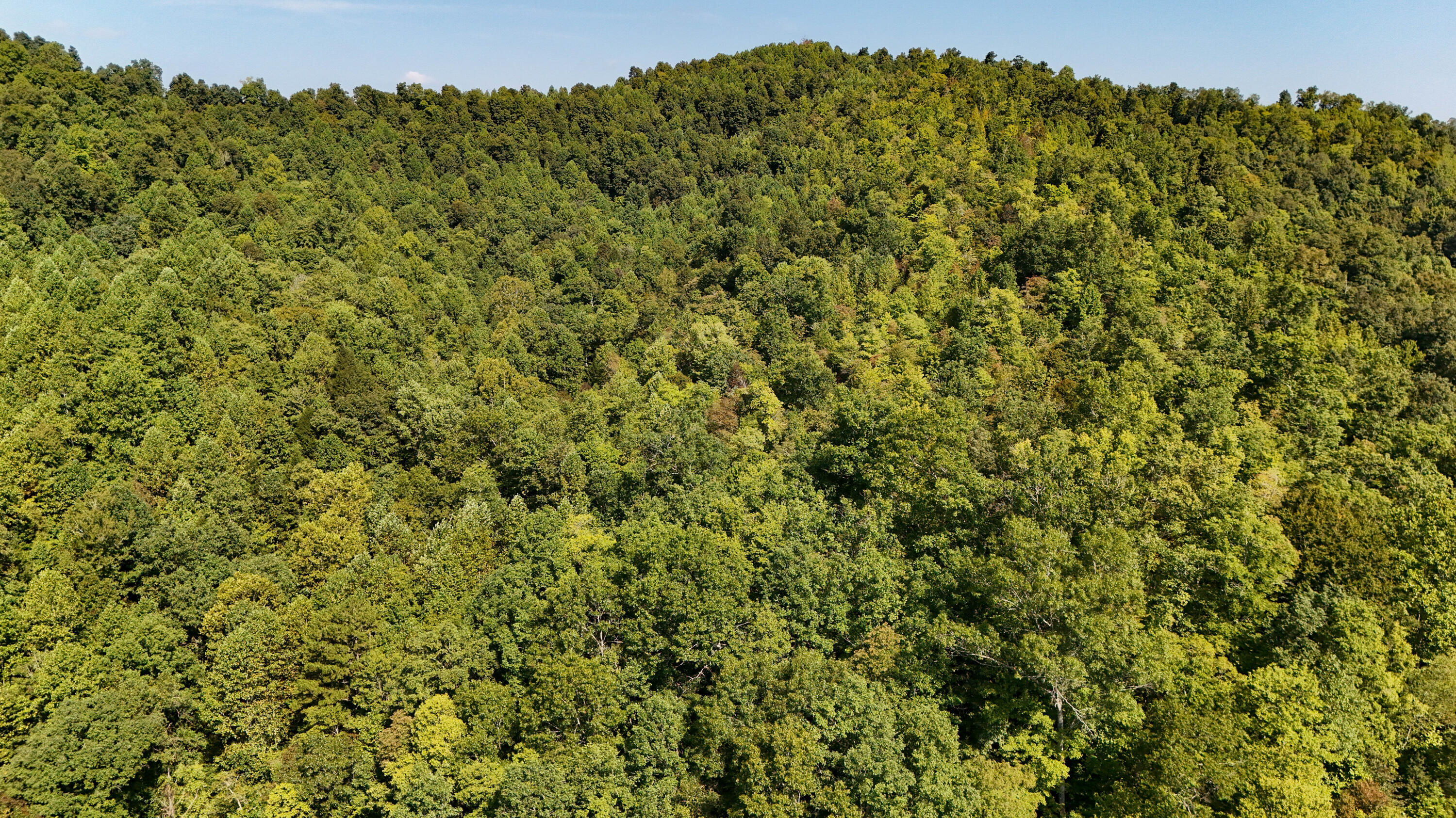 1737 Laurel Branch Road Walker, KY 40997 - Photo 13 of 18 LightroomRealEstateEdits-9