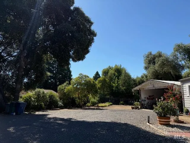 a view of a street with potted plants