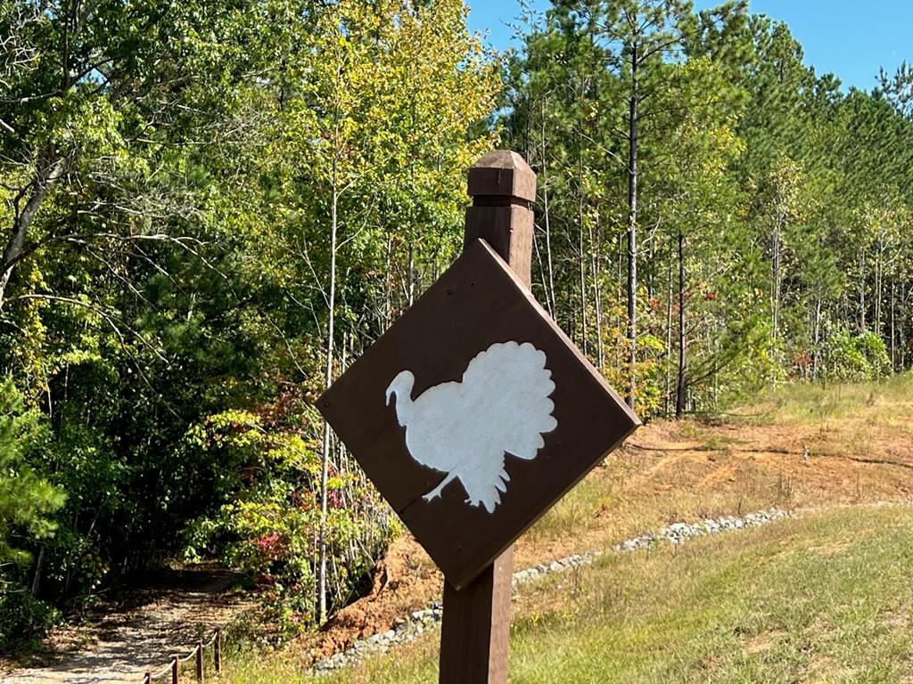 Lot 5 Blalock Mountain Road Talking Rock, GA 30175 - Photo 22 of 22