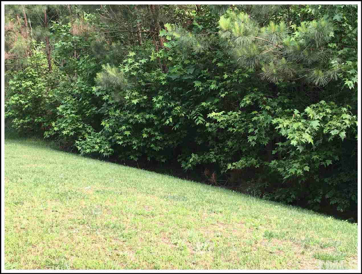 161 Longbay Street Garner, NC 27529 - Photo 9 of 9