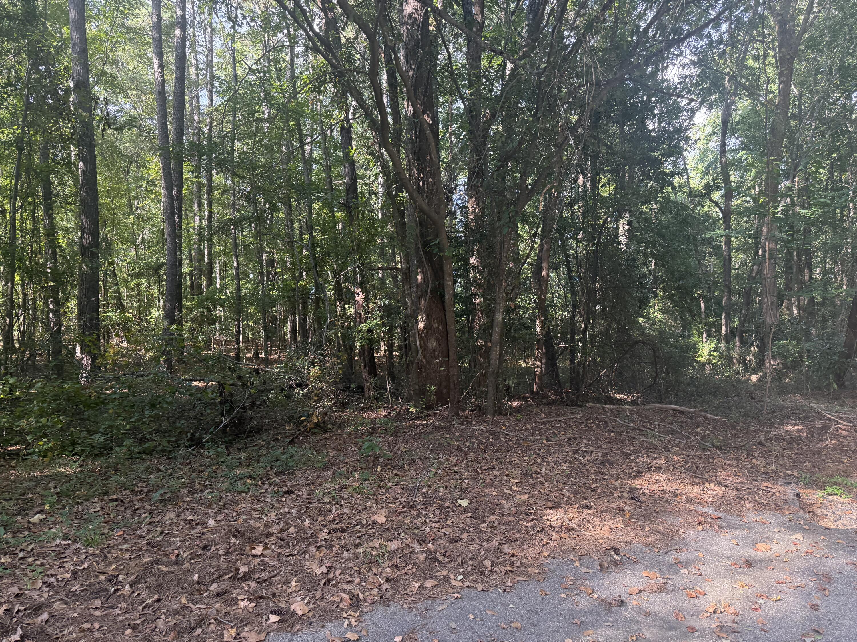 0 Lynnay Drive, Unit B Rembert, SC 29128 - Photo 4 of 6