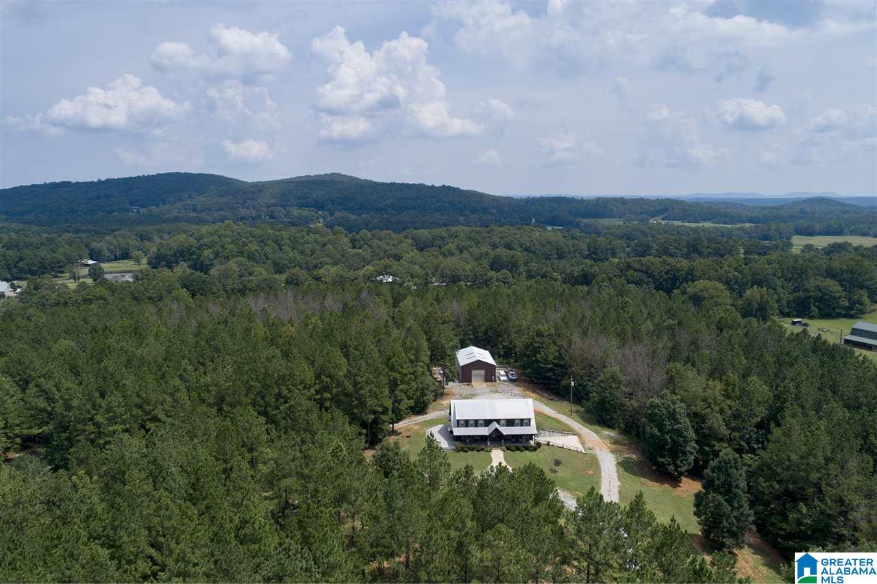 1024 Alston Farm Road Columbiana, AL 35051 - Photo 7 of 45