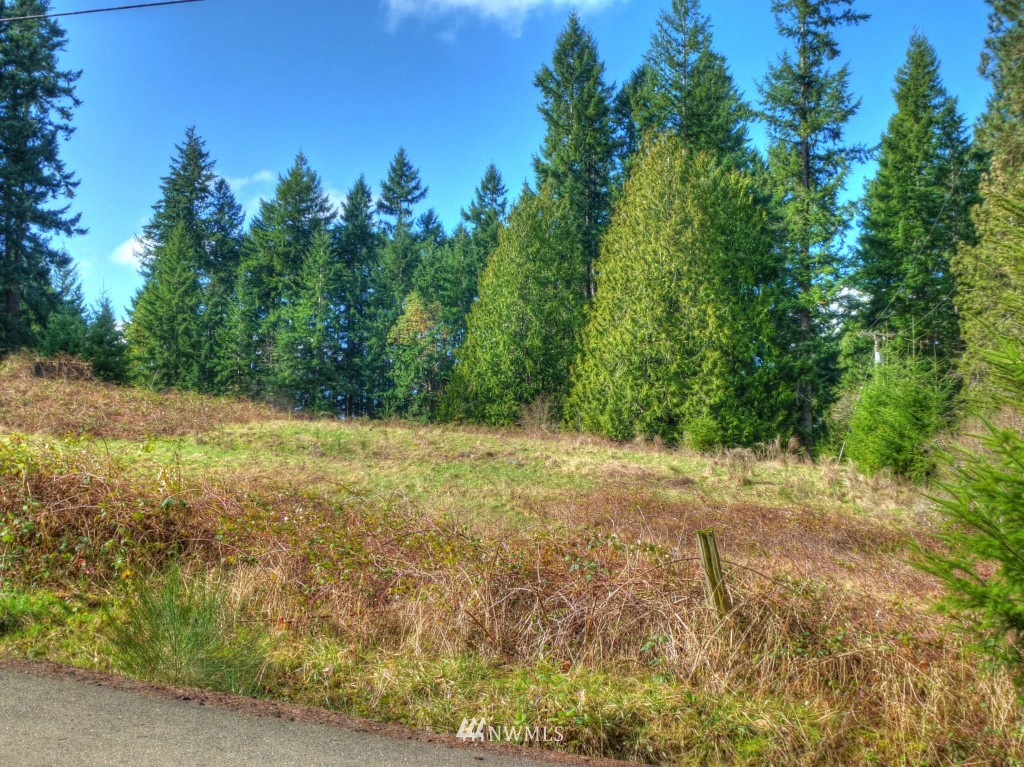 0 Olympic View Loop Road Northwest Silverdale, WA 98383 - Photo 11 of 15 Gallery Image 11