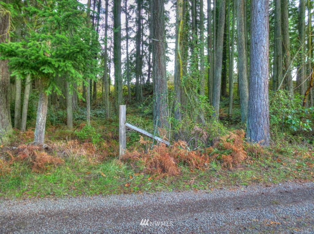 0 Olympic View Loop Road Northwest Silverdale, WA 98383 - Photo 13 of 15 Gallery Image 13