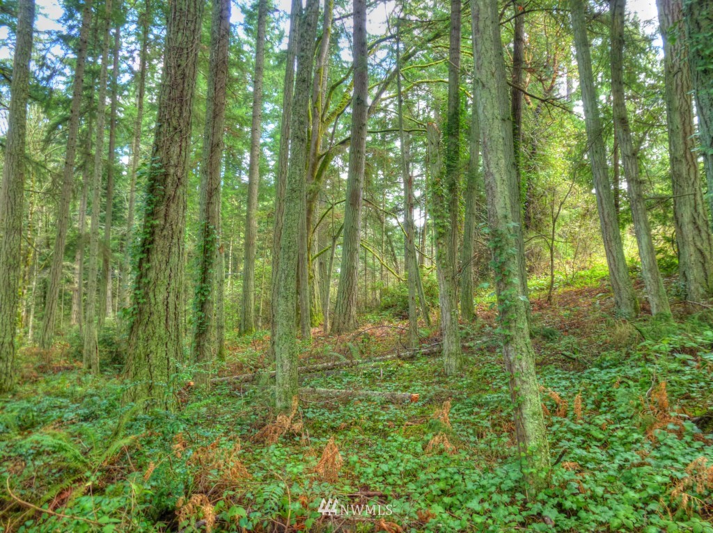 0 Olympic View Loop Road Northwest Silverdale, WA 98383 - Photo 4 of 15 Gallery Image 4