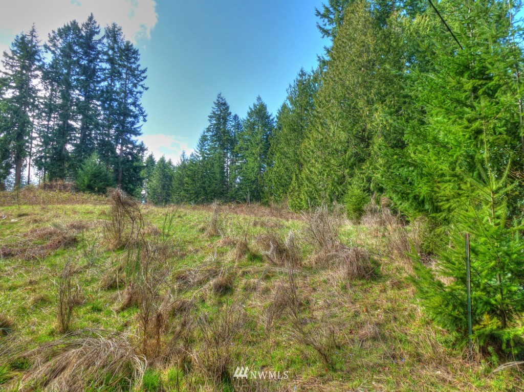 0 Olympic View Loop Road Northwest Silverdale, WA 98383 - Photo 6 of 15 Gallery Image 6