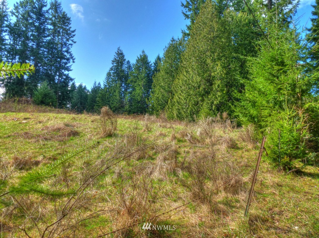 0 Olympic View Loop Road Northwest Silverdale, WA 98383 - Photo 10 of 15 Gallery Image 10