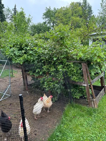 $319,900 | 750 Southampton Court, Auburn Hills, MI 48326