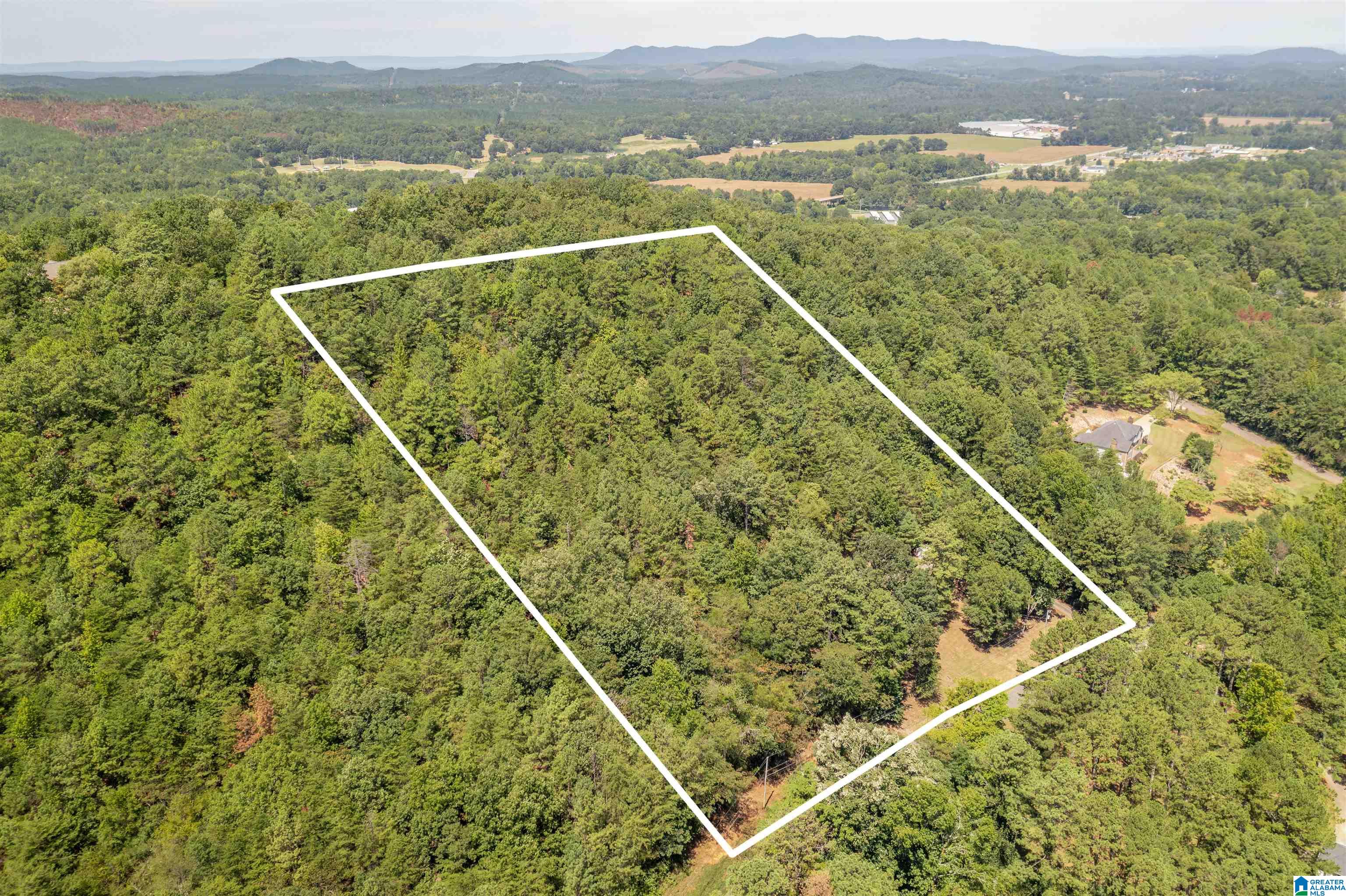 314 Oak Ridge Lane Piedmont, AL 36272 - Photo 34 of 37
