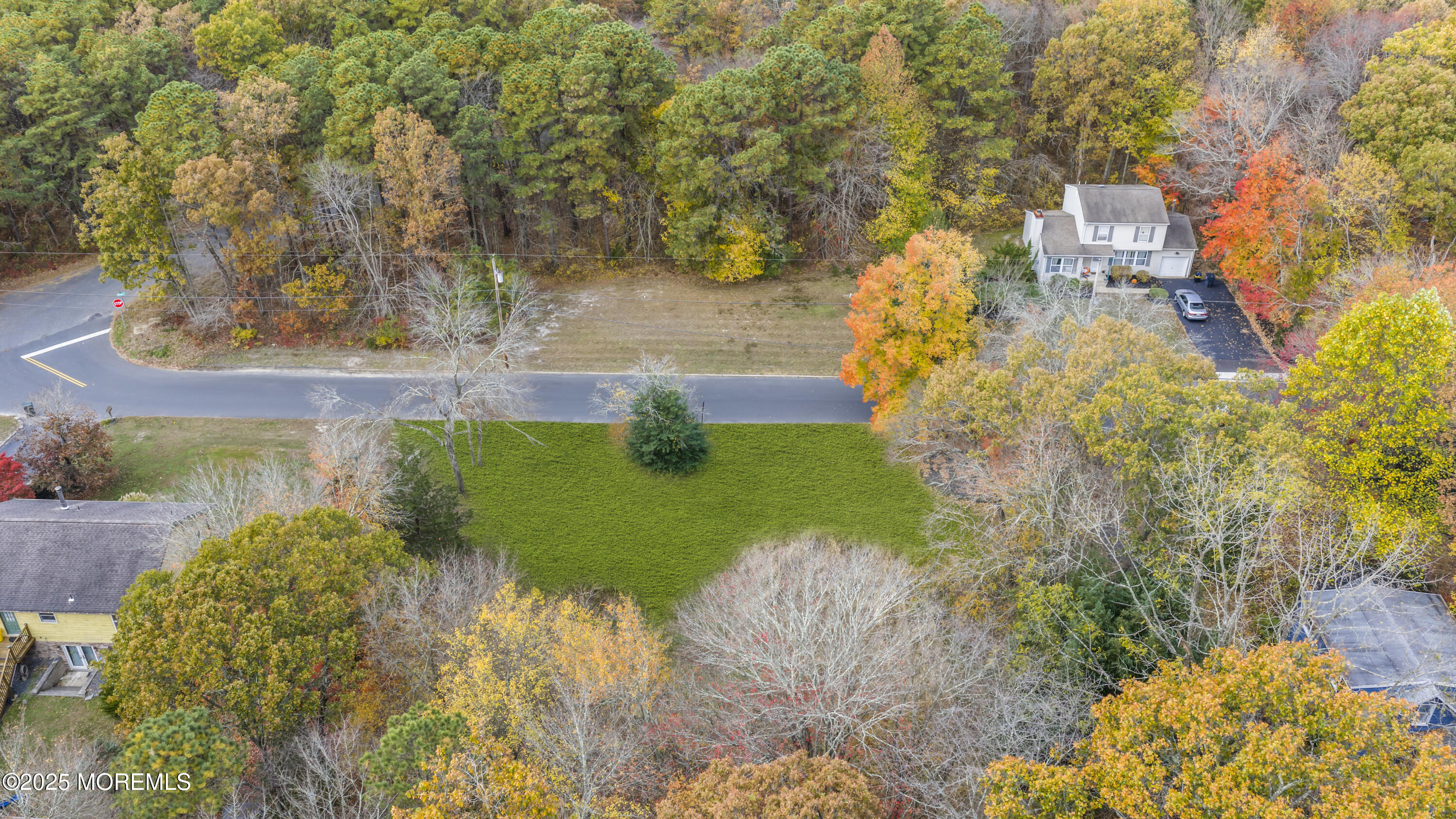 0 Indiero Road Jackson, NJ 08527 - Photo 3 of 11 a view of a yard with plants and large trees