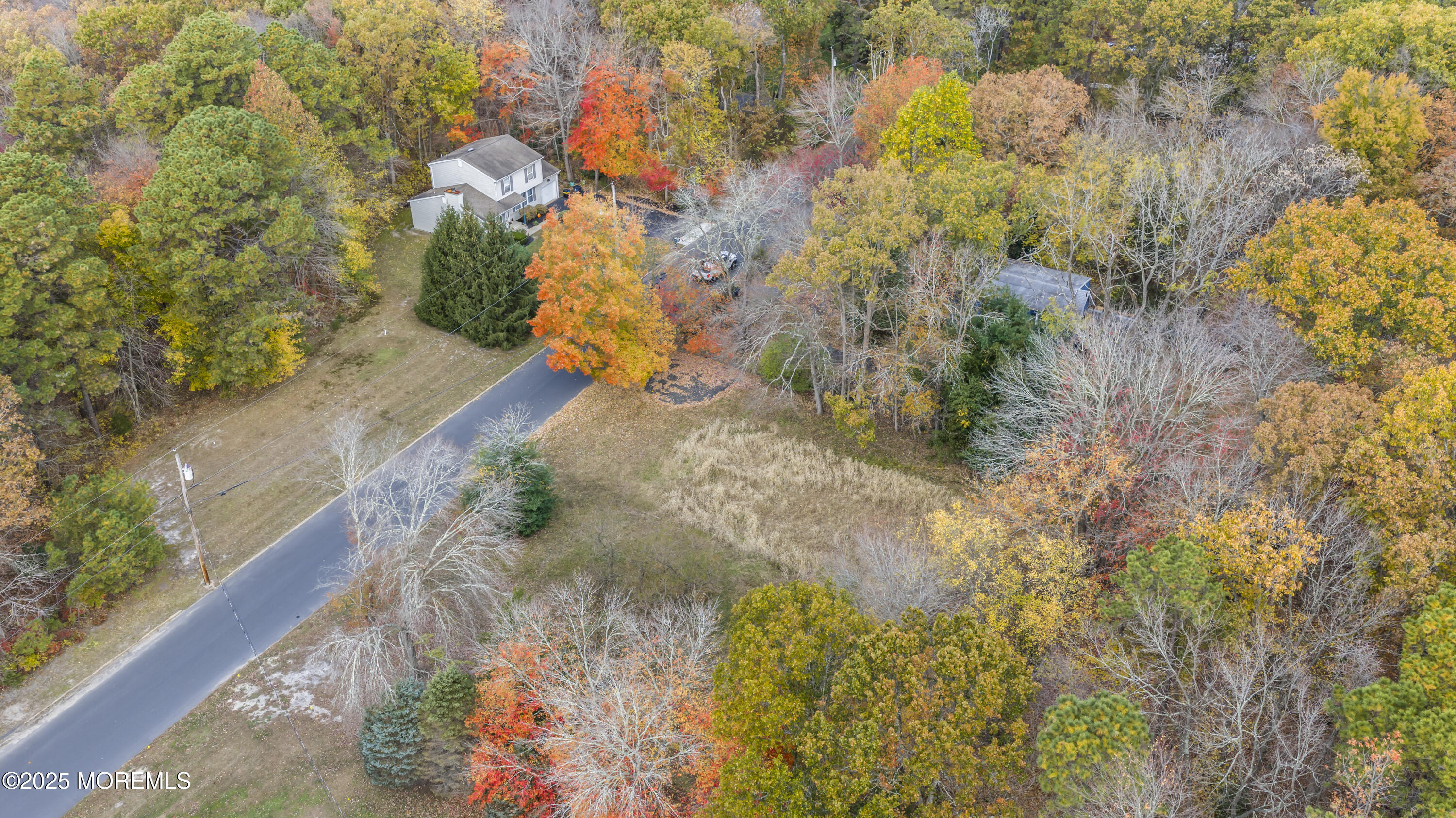 0 Indiero Road Jackson, NJ 08527 - Photo 4 of 11 a view of a yard with plants