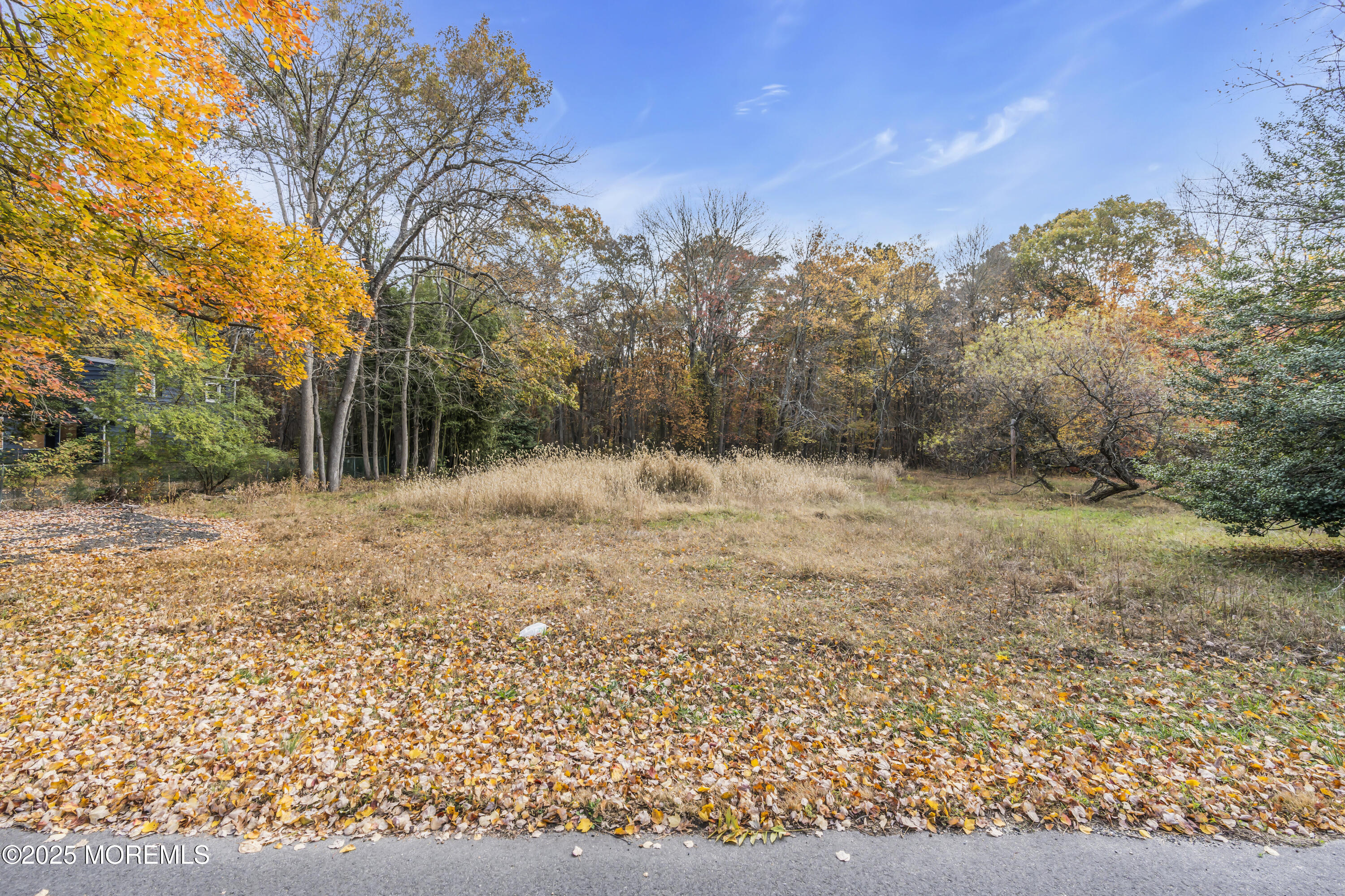 0 Indiero Road Jackson, NJ 08527 - Photo 7 of 11 a view of road and covered with snow