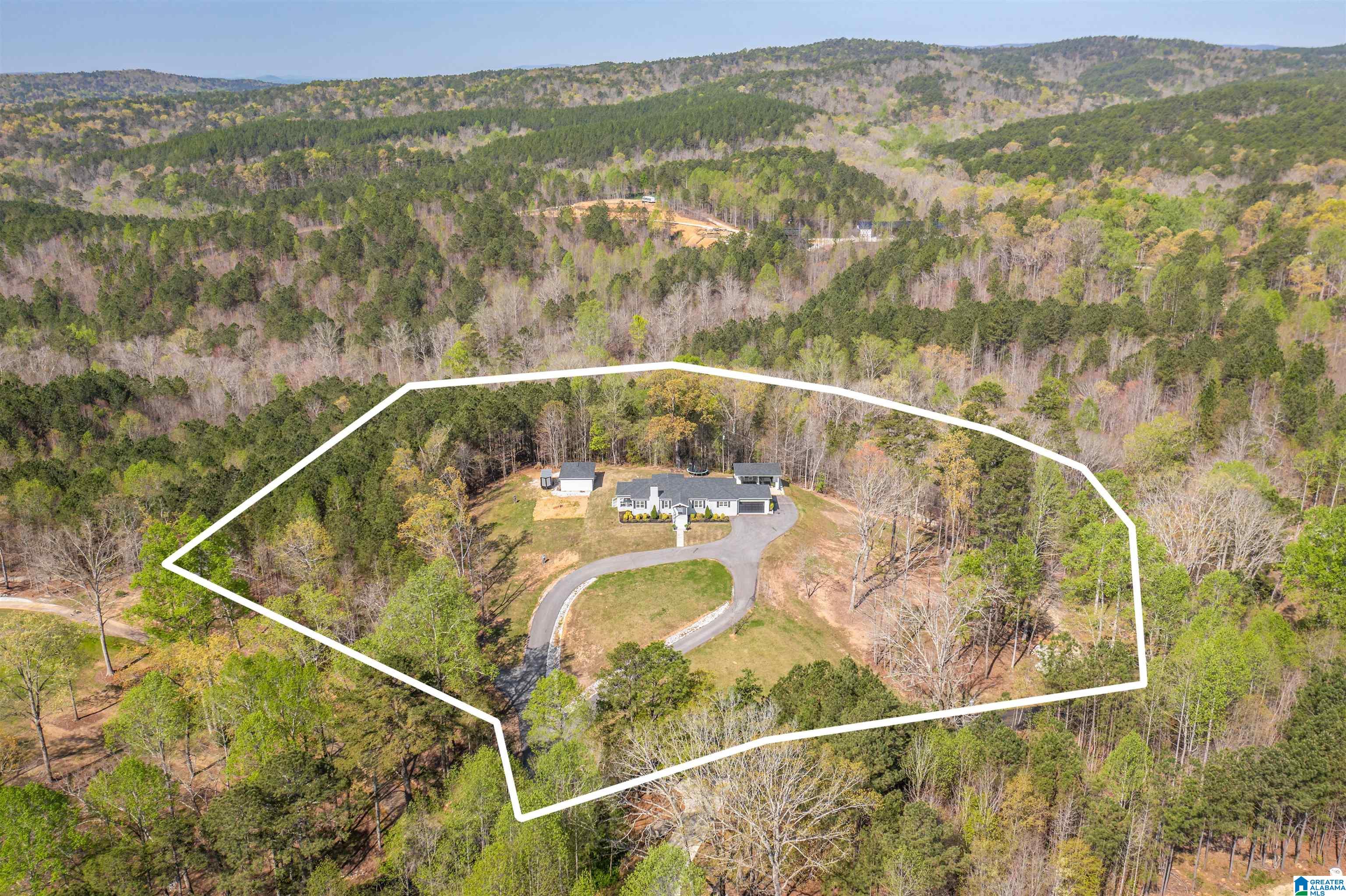 991 Boozer Road Heflin, AL 36264 - Photo 5 of 22