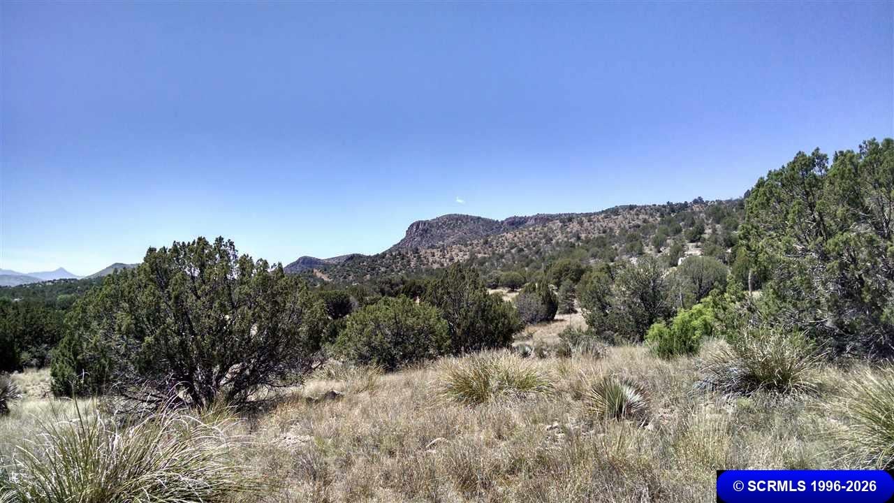 258 Rio Vista Mimbres, NM 88049 - Photo 6 of 8 Gallery Image 6