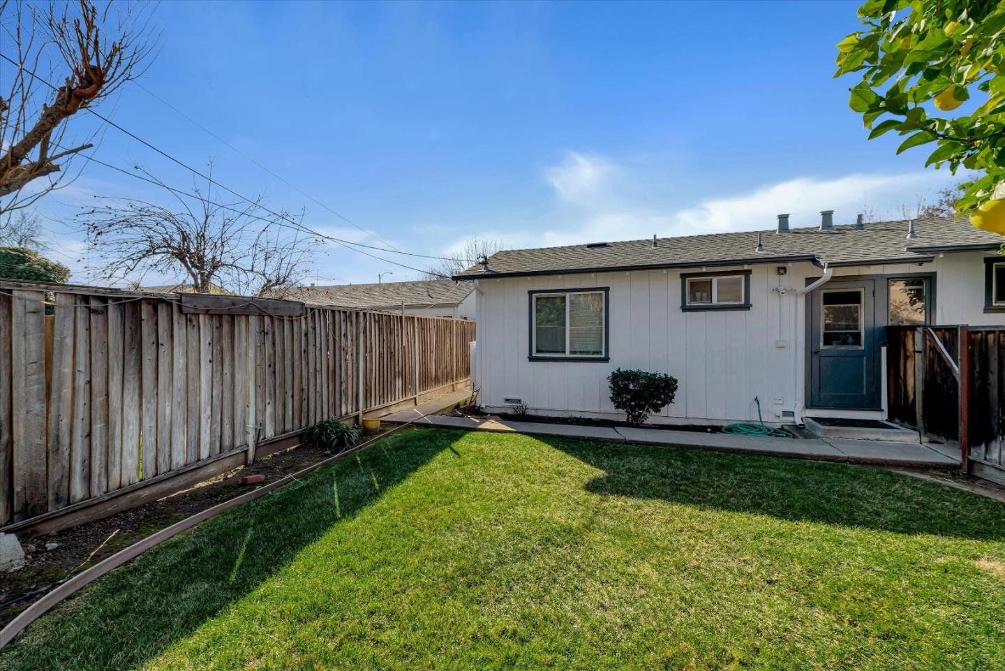 1944 Bird Avenue San Jose, CA 95125 - Photo 13 of 15 a view of a backyard with plants and large tree