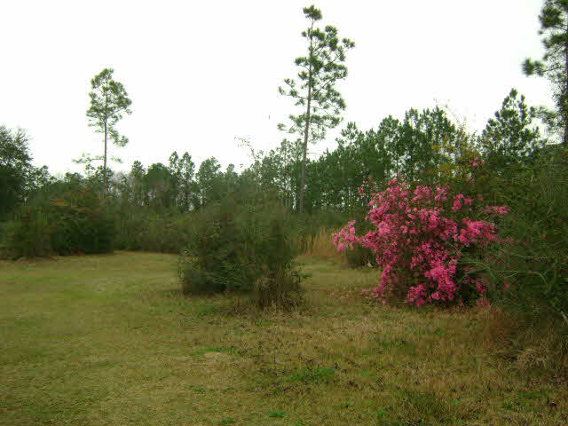 29461 Archie Road Elberta, AL 36530 - Photo 1 of 1