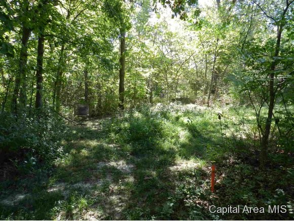 Lot 7 Hickory Road Athens, IL 62613 - Photo 12 of 24 Gallery Image 12