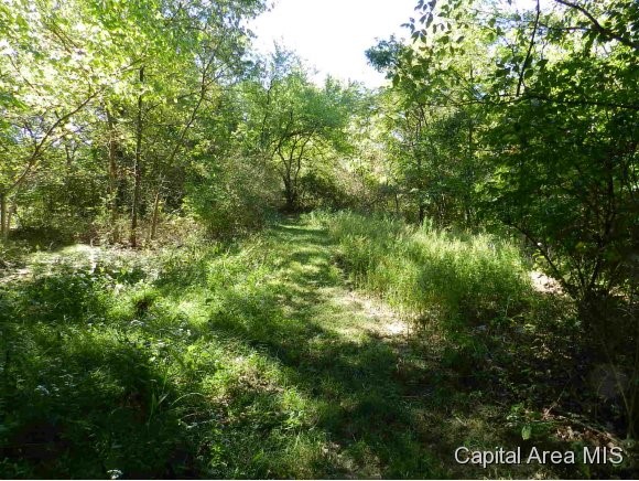 Lot 7 Hickory Road Athens, IL 62613 - Photo 13 of 24 Gallery Image 13