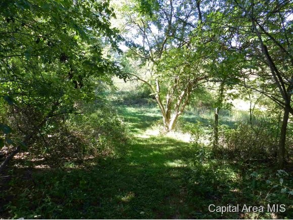 Lot 7 Hickory Road Athens, IL 62613 - Photo 17 of 24 Gallery Image 17
