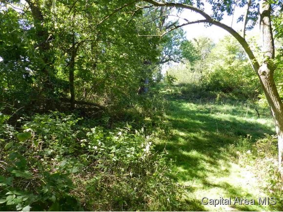 Lot 7 Hickory Road Athens, IL 62613 - Photo 18 of 24 Gallery Image 18