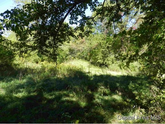Lot 7 Hickory Road Athens, IL 62613 - Photo 19 of 24 Gallery Image 19