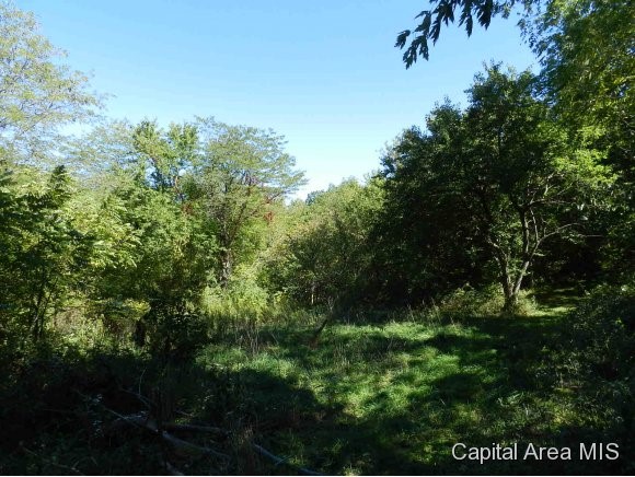 Lot 7 Hickory Road Athens, IL 62613 - Photo 20 of 24 Gallery Image 20