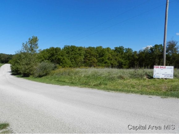 Lot 7 Hickory Road Athens, IL 62613 - Photo 2 of 24 Gallery Image 2