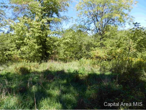 Lot 7 Hickory Road Athens, IL 62613 - Photo 21 of 24 Gallery Image 21
