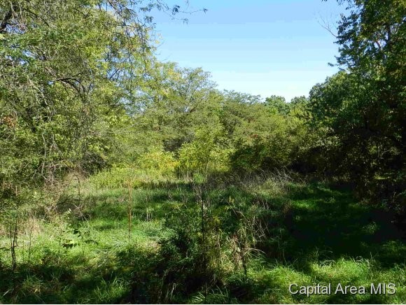 Lot 7 Hickory Road Athens, IL 62613 - Photo 22 of 24 Gallery Image 22