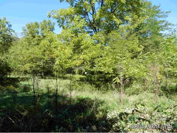 Lot 7 Hickory Road Athens, IL 62613 - Photo 23 of 24 Gallery Image 23