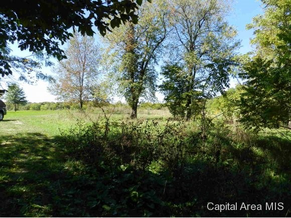 Lot 7 Hickory Road Athens, IL 62613 - Photo 24 of 24 Gallery Image 24