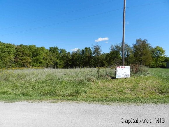 Lot 7 Hickory Road Athens, IL 62613 - Photo 3 of 24 Gallery Image 3
