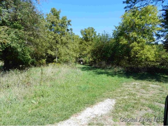 Lot 7 Hickory Road Athens, IL 62613 - Photo 4 of 24 Gallery Image 4