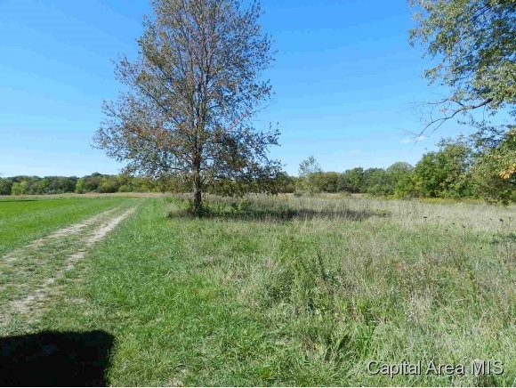 Lot 7 Hickory Road Athens, IL 62613 - Photo 5 of 24 Gallery Image 5