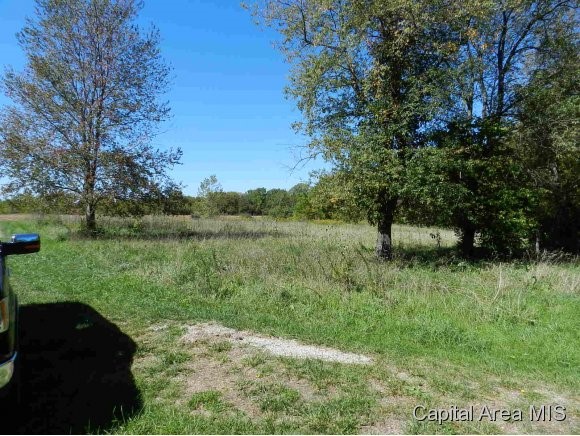 Lot 7 Hickory Road Athens, IL 62613 - Photo 6 of 24 Gallery Image 6