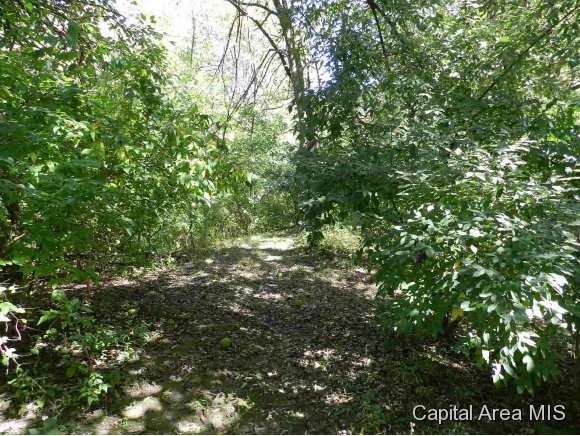 Lot 7 Hickory Road Athens, IL 62613 - Photo 7 of 24 Gallery Image 7